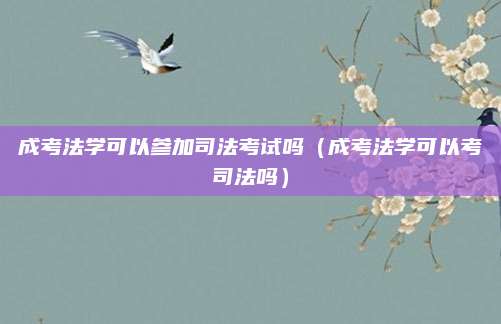 成考法学可以参加司法考试吗（成考法学可以考司法吗）