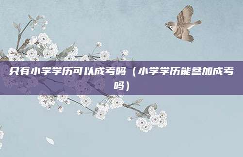 只有小学学历可以成考吗（小学学历能参加成考吗）