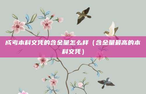 成考本科文凭的含金量怎么样（含金量最高的本科文凭）