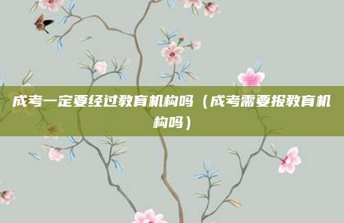 成考一定要经过教育机构吗（成考需要报教育机构吗）