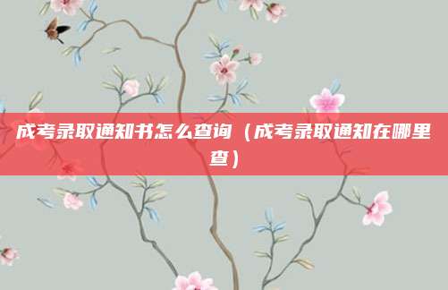 成考录取通知书怎么查询（成考录取通知在哪里查）