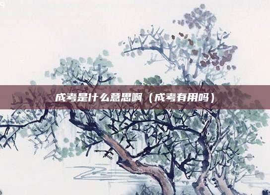 成考是什么意思啊（成考有用吗）