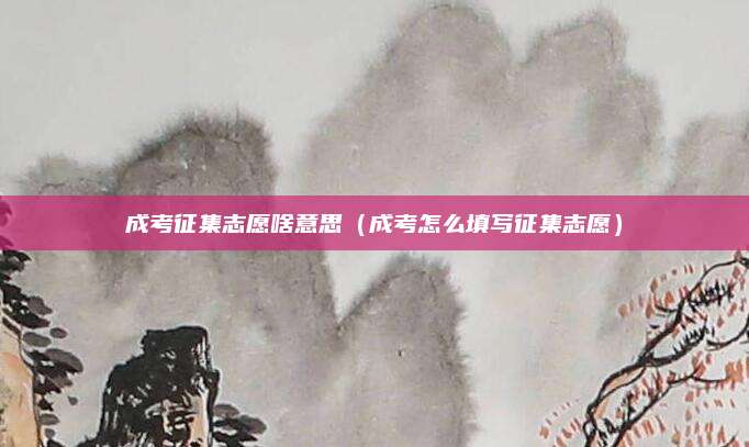 成考征集志愿啥意思（成考怎么填写征集志愿）