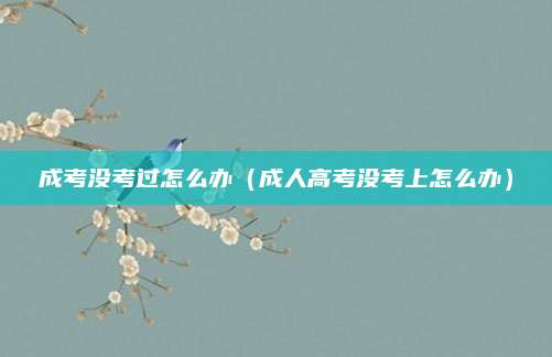 成考没考过怎么办（成人高考没考上怎么办）