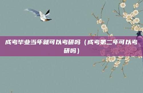 成考毕业当年就可以考研吗（成考第二年可以考研吗）