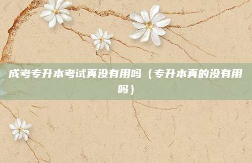 成考专升本考试真没有用吗（专升本真的没有用吗）