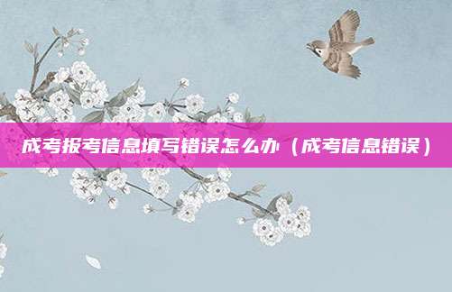 成考报考信息填写错误怎么办（成考信息错误）