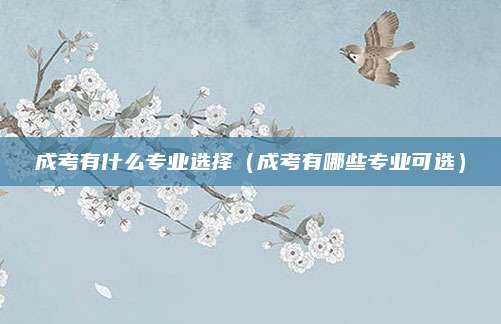 成考有什么专业选择（成考有哪些专业可选）