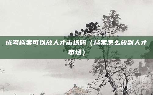 成考档案可以放人才市场吗（档案怎么放到人才市场）