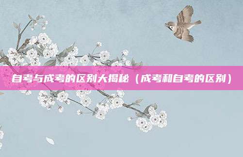 自考与成考的区别大揭秘（成考和自考的区别）