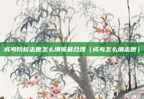 成考院校志愿怎么填报最合理（成考怎么填志愿）