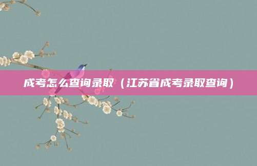 成考怎么查询录取（江苏省成考录取查询）