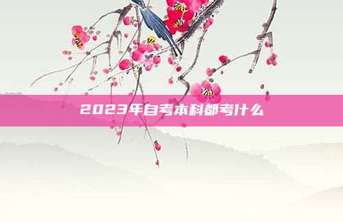 2023年自考本科都考什么
