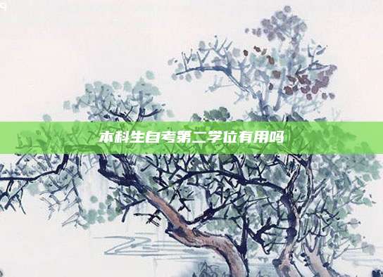 本科生自考第二学位有用吗