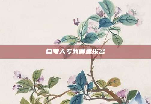 自考大专到哪里报名