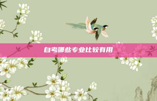 自考哪些专业比较有用