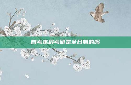 自考本科考研是全日制的吗