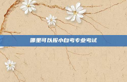 哪里可以报小自考专业考试