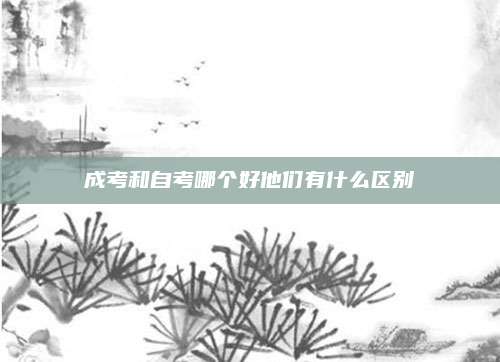 成考和自考哪个好他们有什么区别