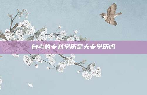 自考的专科学历是大专学历吗