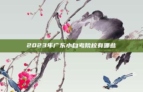 2023年广东小自考院校有哪些
