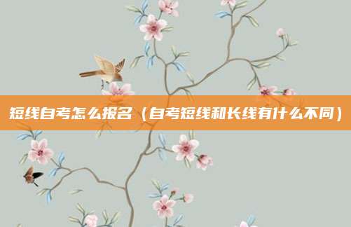 短线自考怎么报名（自考短线和长线有什么不同）