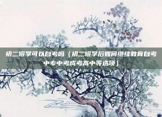 初二辍学可以自考吗（初二辍学后如何继续教育自考中专中考成考高中等选项）