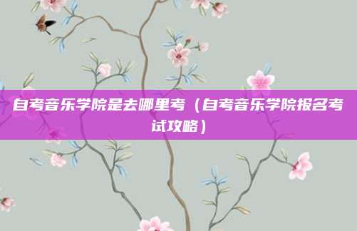 自考音乐学院是去哪里考（自考音乐学院报名考试攻略）