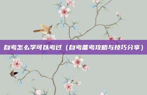 自考怎么学可以考过（自考备考攻略与技巧分享）