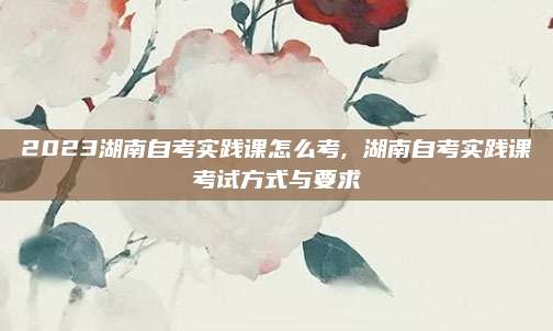 2023湖南自考实践课怎么考, 湖南自考实践课考试方式与要求