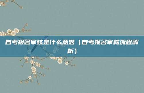 自考报名审核是什么意思(自考报名审核流程解析) 自考报名审核是什么意思(自考报名审核流程解析)
