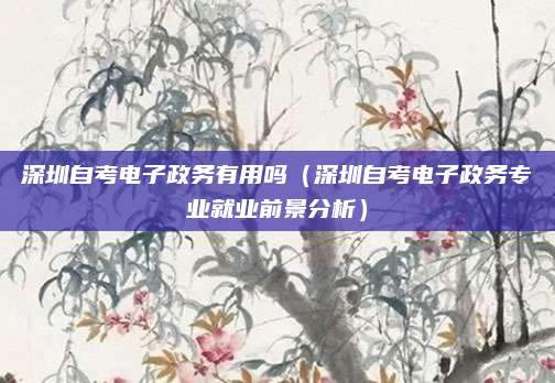 深圳自考电子政务有用吗（深圳自考电子政务专业就业前景分析）