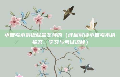 小自考本科流程是怎样的（详细解读小自考本科报名、学习与考试流程）