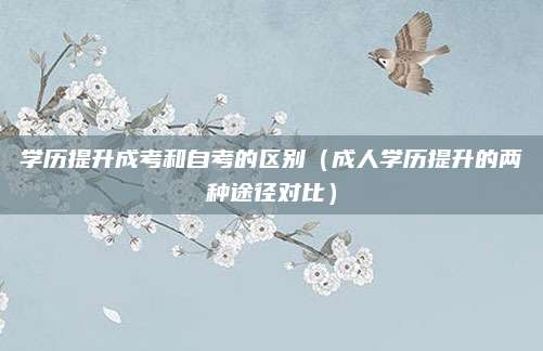 学历提升成考和自考的区别（成人学历提升的两种途径对比）