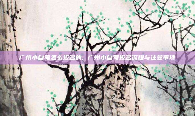 广州小自考怎么报名的, 广州小自考报名流程与注意事项