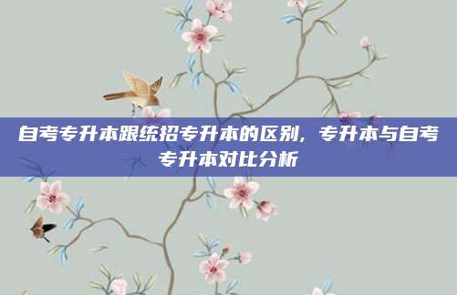 自考专升本跟统招专升本的区别, 专升本与自考专升本对比分析