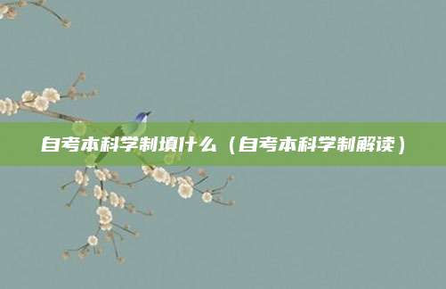 自考本科学制填什么（自考本科学制解读）