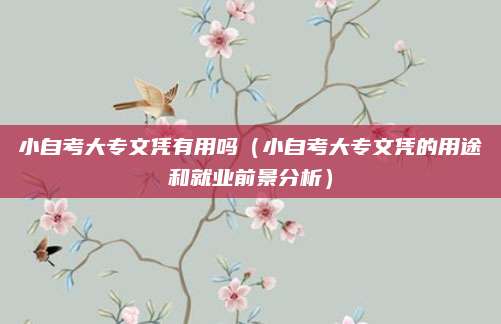 小自考大专文凭有用吗（小自考大专文凭的用途和就业前景分析）