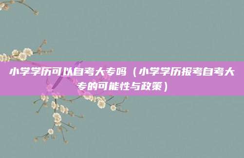小学学历可以自考大专吗（小学学历报考自考大专的可能性与政策）