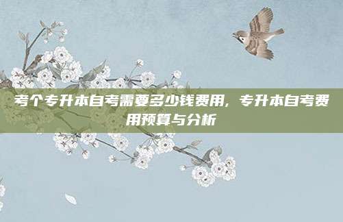 考个专升本自考需要多少钱费用, 专升本自考费用预算与分析