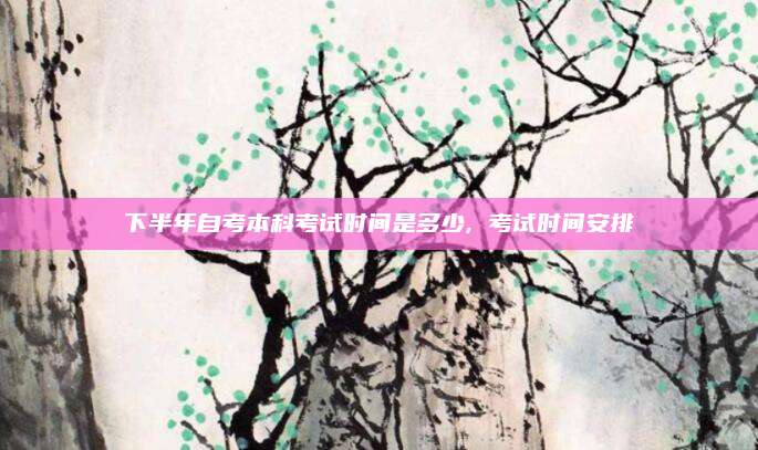 下半年自考本科考试时间是多少, 考试时间安排