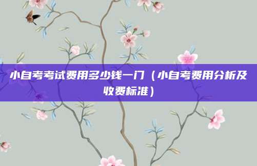小自考考试费用多少钱一门（小自考费用分析及收费标准）