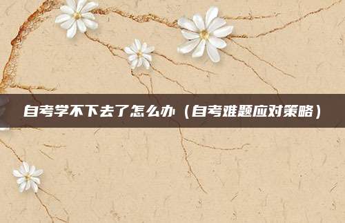 自考学不下去了怎么办（自考难题应对策略）