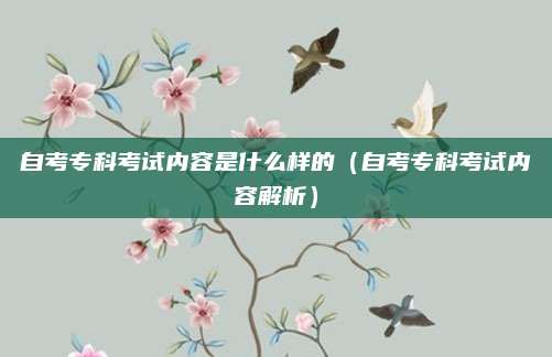 自考专科考试内容是什么样的（自考专科考试内容解析）