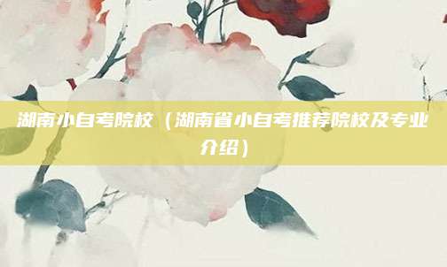 湖南小自考院校（湖南省小自考推荐院校及专业介绍）