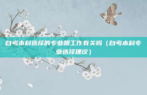 自考本科选择的专业跟工作有关吗（自考本科专业选择建议）