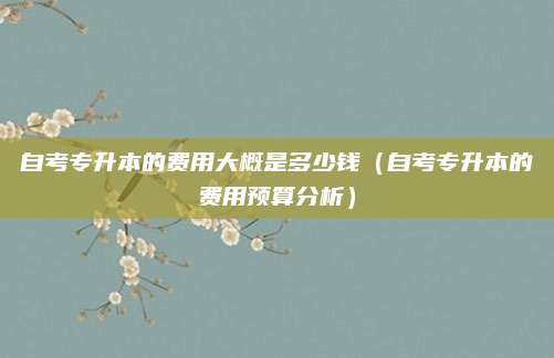 自考专升本的费用大概是多少钱（自考专升本的费用预算分析）