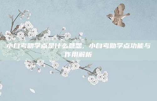 小自考助学点是什么意思, 小自考助学点功能与作用解析