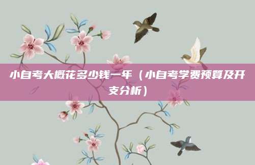 小自考大概花多少钱一年（小自考学费预算及开支分析）