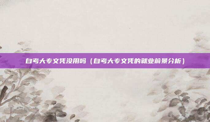 自考大专文凭没用吗（自考大专文凭的就业前景分析）